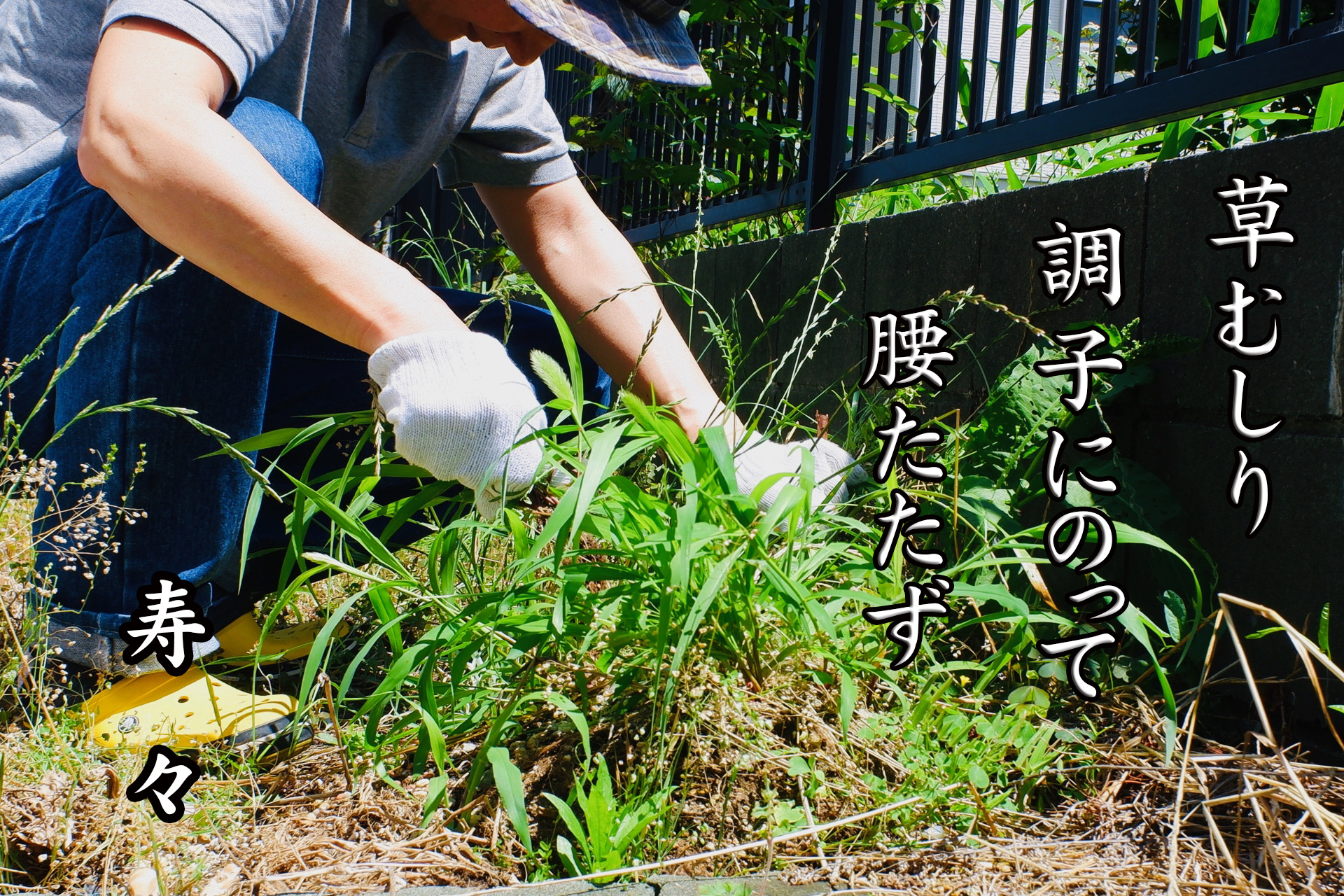 6月佳作作品3位