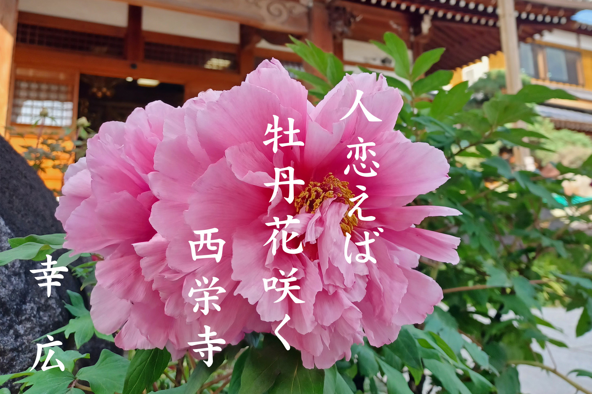 3月佳作作品1位