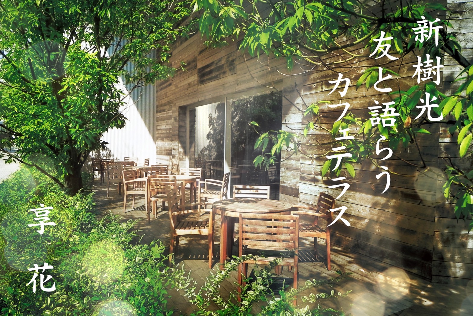 佳作作品1位