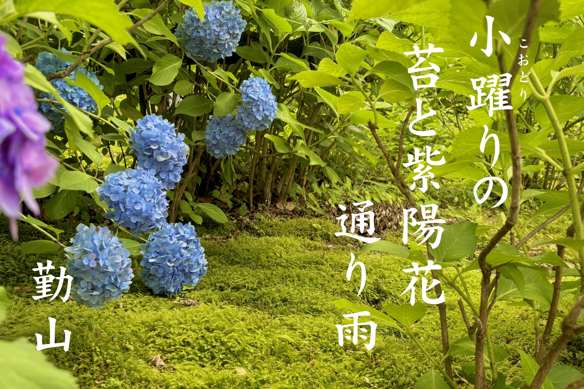 佳作作品1位