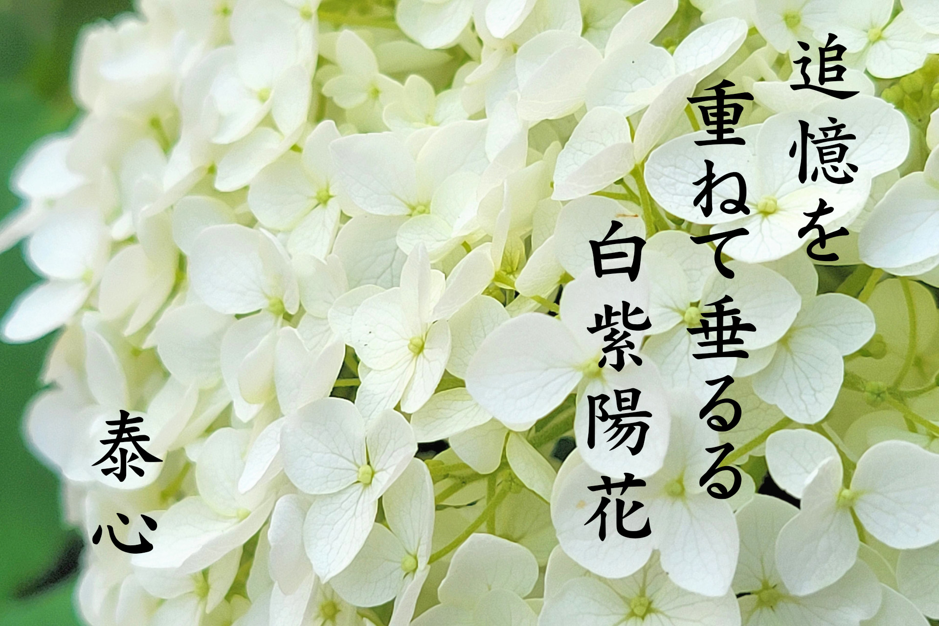 佳作作品3位