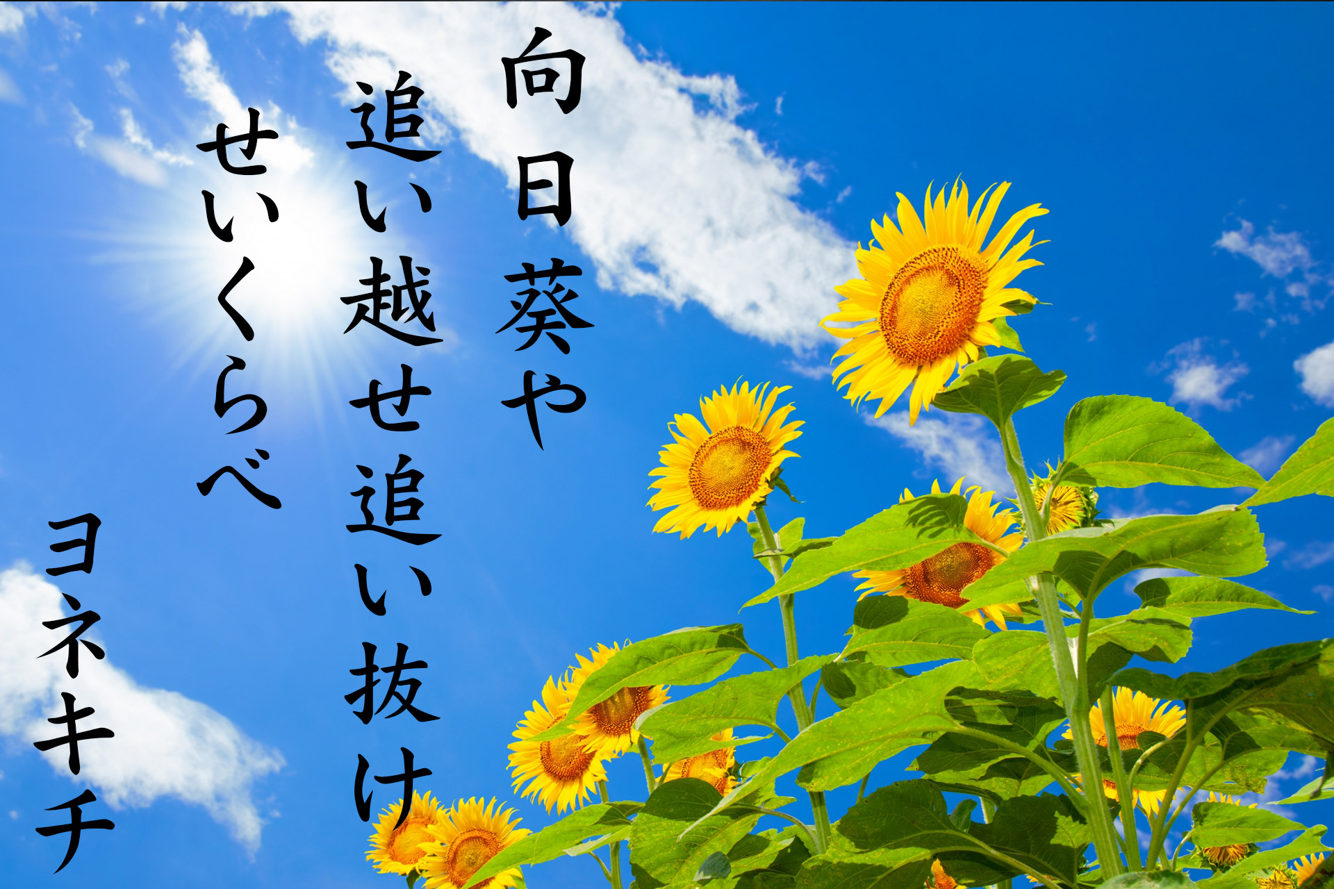 佳作作品2位