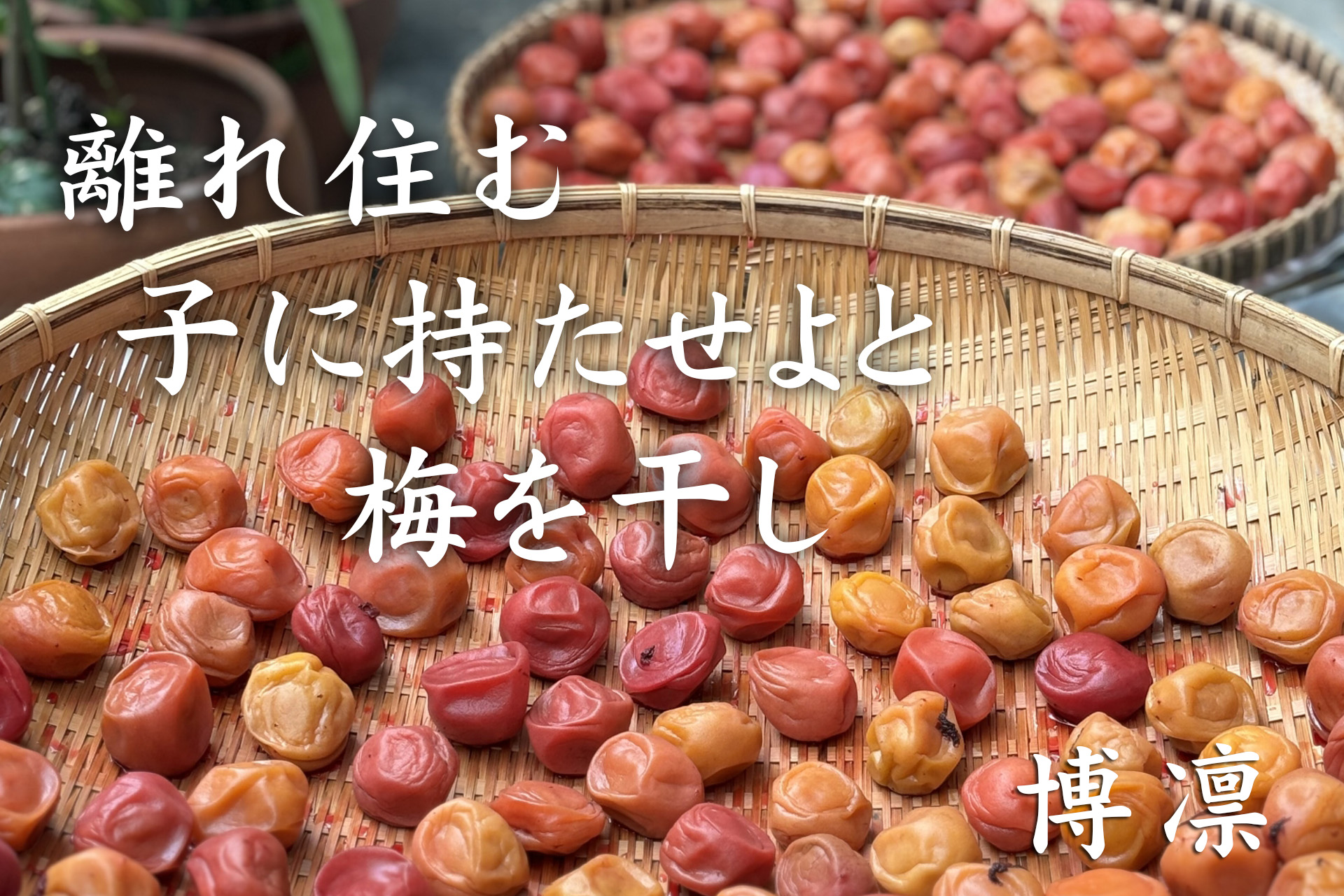 佳作作品1位